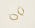 Gold hoop earrings on a beige background