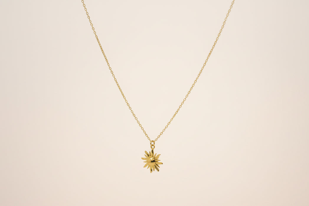 Gold necklace with a sun pendant on a light beige background